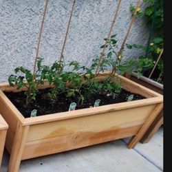New cedar planters