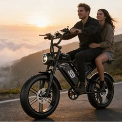 27.9 mph 20*4.0 big wheel electric mountain bike, 749W 65 miles, 48V 20Ah