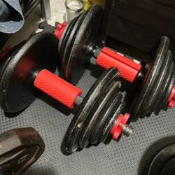 36 Lb Dumbbells [set]