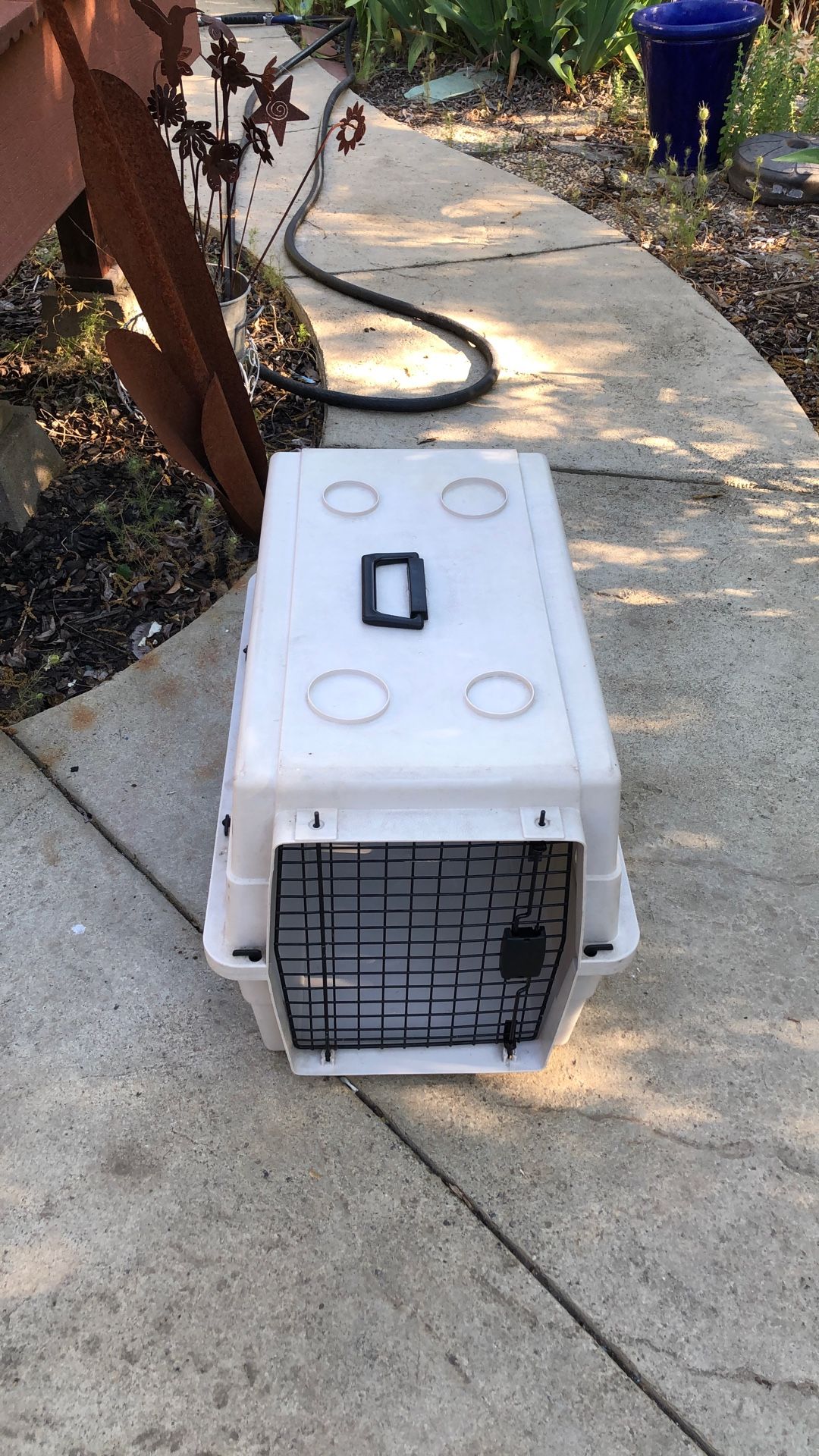 Dog Carrier