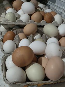 Fresh Ranch Eggs