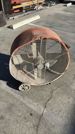Fan