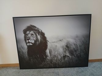 Large Wall art