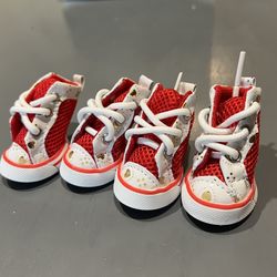 Dog Shoes