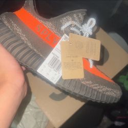 Yeezy 350 Carbon Beluga
