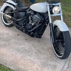 2024 Harley Davidson Street Bob