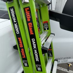 Little Giant Ladder 