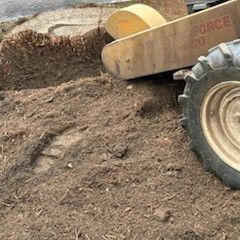 Stump Grinding 