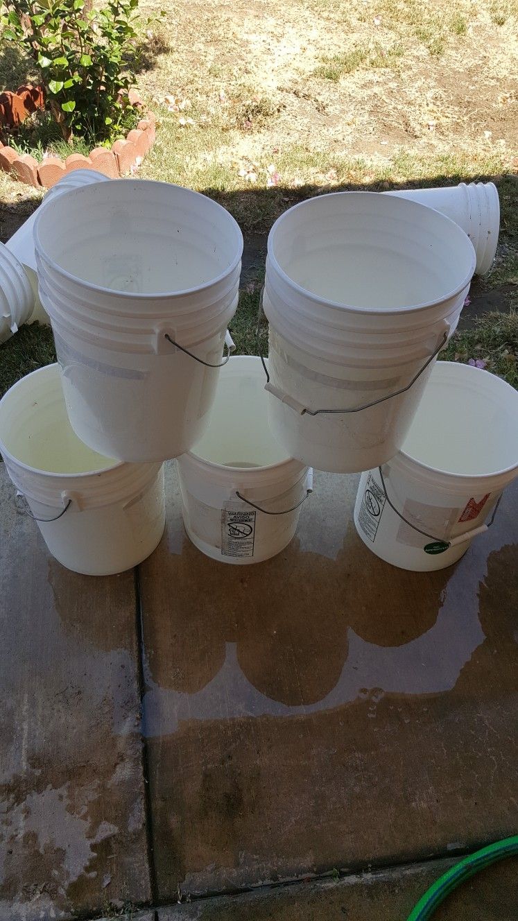 5 Gallons buckets 5 for $18.00.