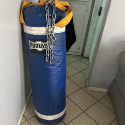Pro last punching Bag 