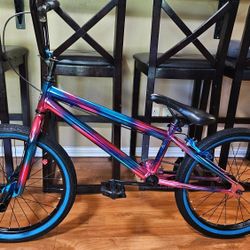 20" Custom Freestyle Cruiser BMX 