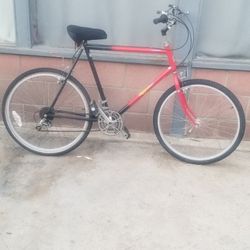 Mountain bike