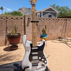 Fender Stratocaster HSS player Series Floyd Rose 