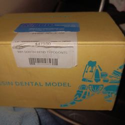 Nissin Dental Model