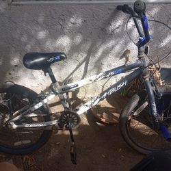 20 In Bike 