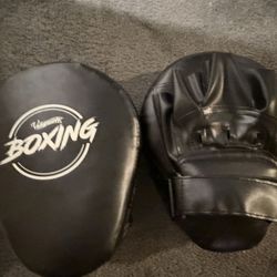 Boxing Mitts