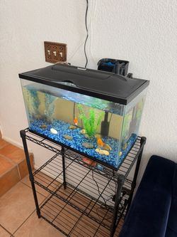 Fish tank with stand