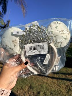 Princess Diaries D23 Ears
