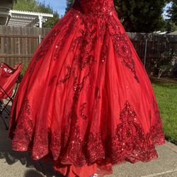 size 20 Quinceanera Dress 