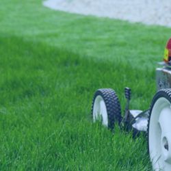 Anyone Need There Lawn Cut ? 