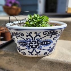 White And Blue Frost Proof Ceramic Pot With Plants