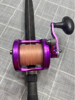 Avet mxl purple on 9ft star rod