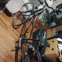 Schwinn 