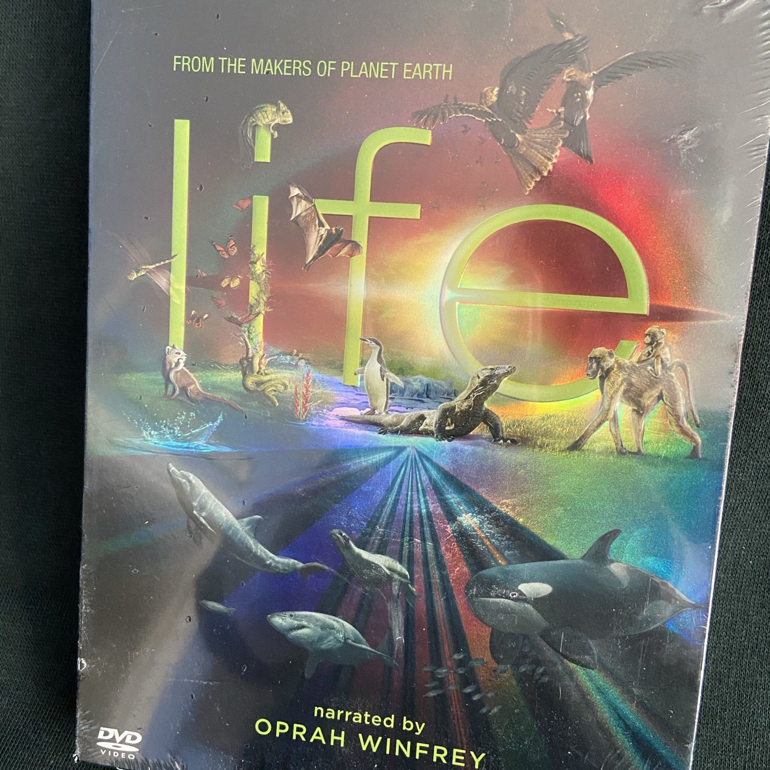 Life - DVD Set