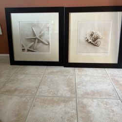 Shell Framed Wall Pictures