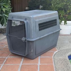Petmate Sky Dog Kennel, 48 