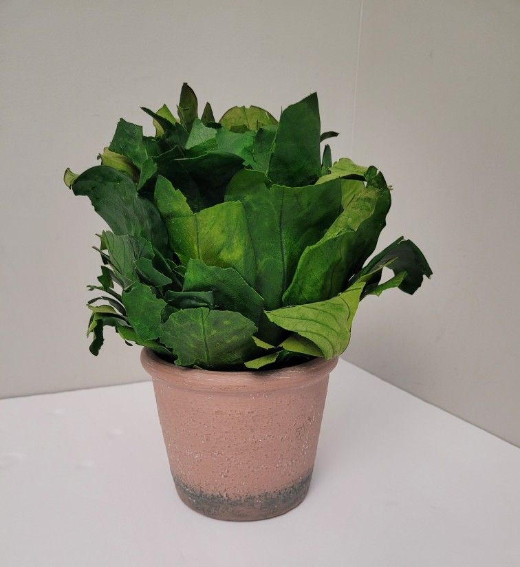 Fake Cabbage Plant In Pot 11"