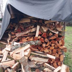 Got Firewood? I Got You What Are You Needs. Let Me Know