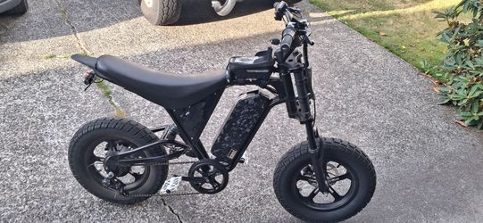 Electric Bike