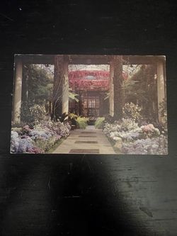 Longwood Gardens Vintage Postcard 