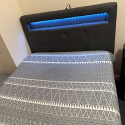  Upholstered Twin Bed: Box Spring Included