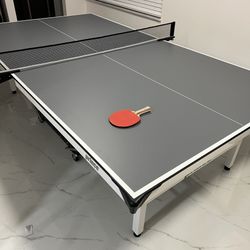 Ping Pong Table 