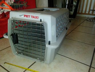 medium size pet carrier