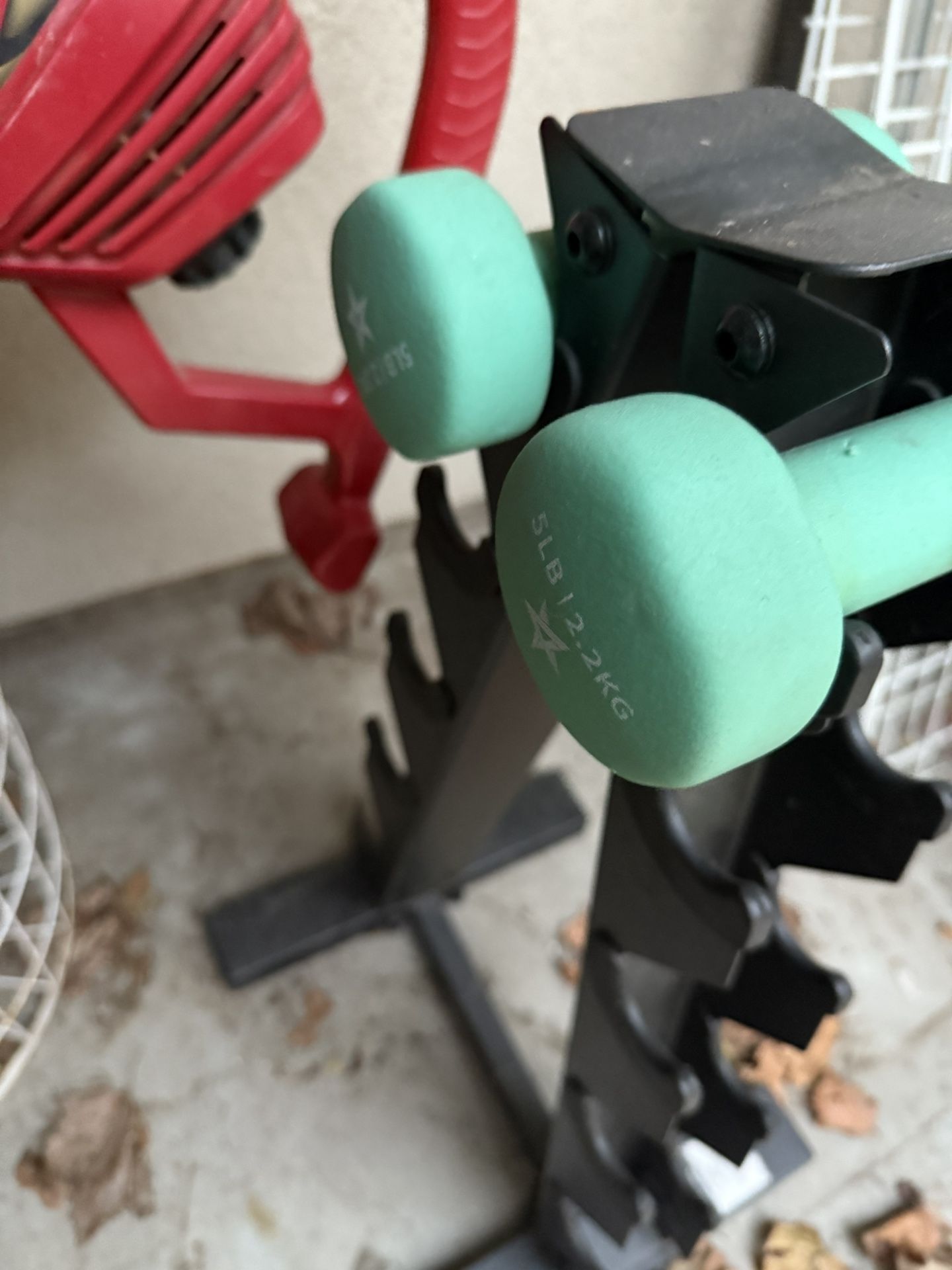 Dumbbells And Stand 