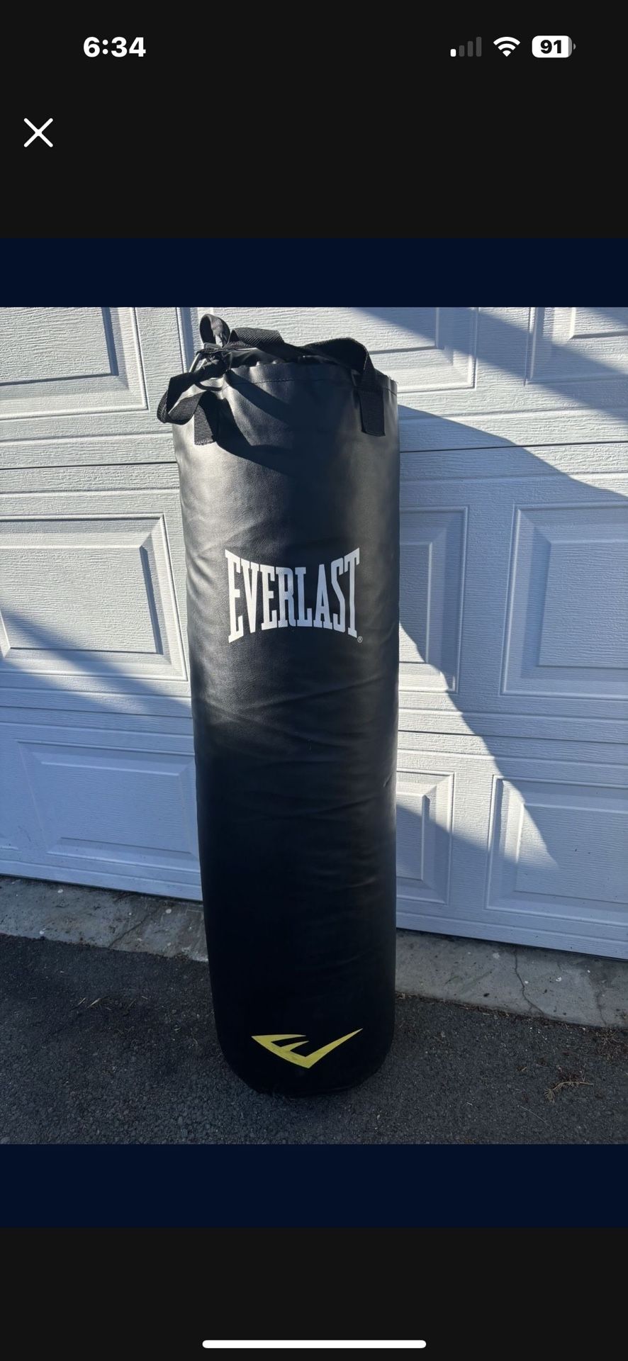 Everlast Punching Bag 90 Lb