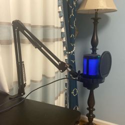 Professional Mic