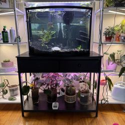 36gal Aquarium + Stand + Decor