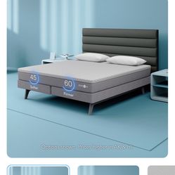 Sleep Number Queen C4 Mattress 