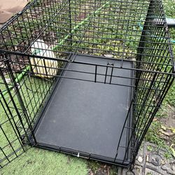Exlarge Dog Crate 