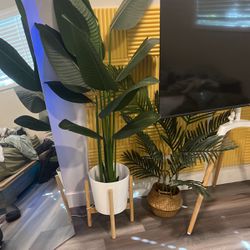 two fake plants for sale