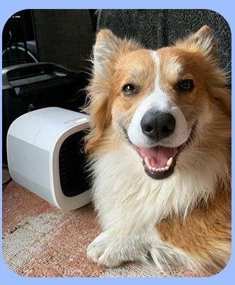 Portable Air Conditioners - Portable AC Unit - Small Personal Evaporative Air Cooler & Fan for Desk, Office, Car, Camping, White