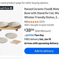 Raised Ceramic Cat Bowls 