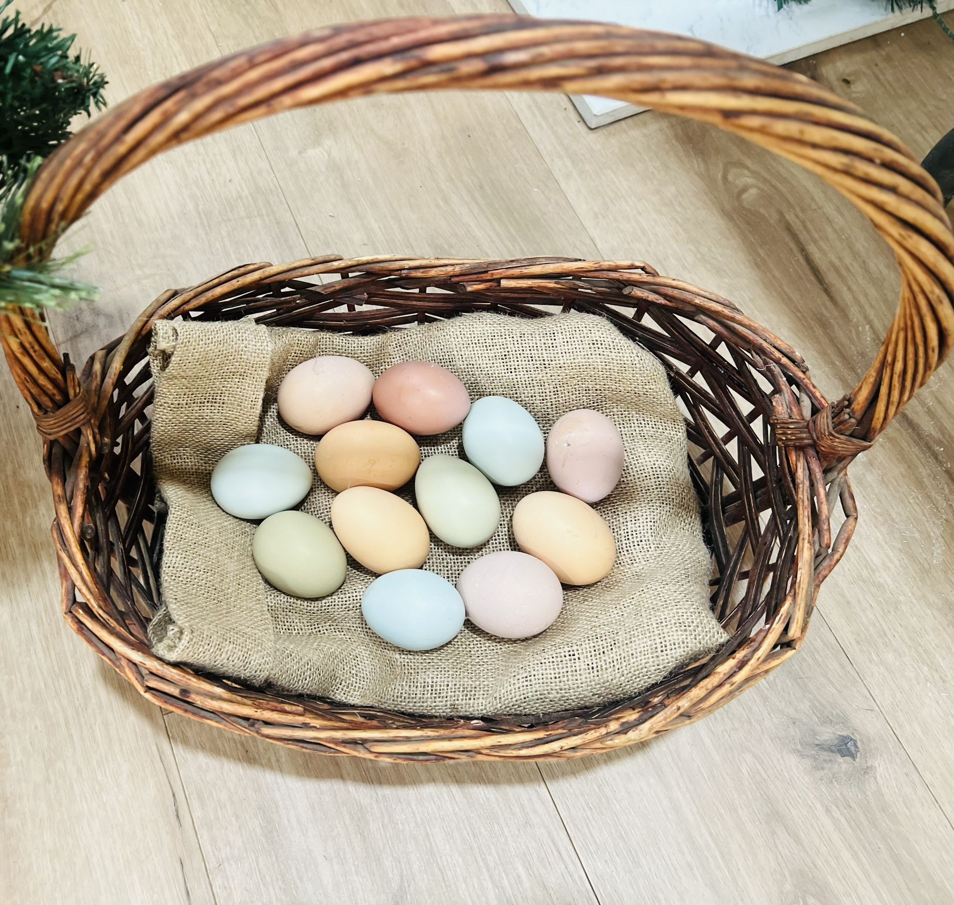 Fresh Eggs Merced $6 A Dozen