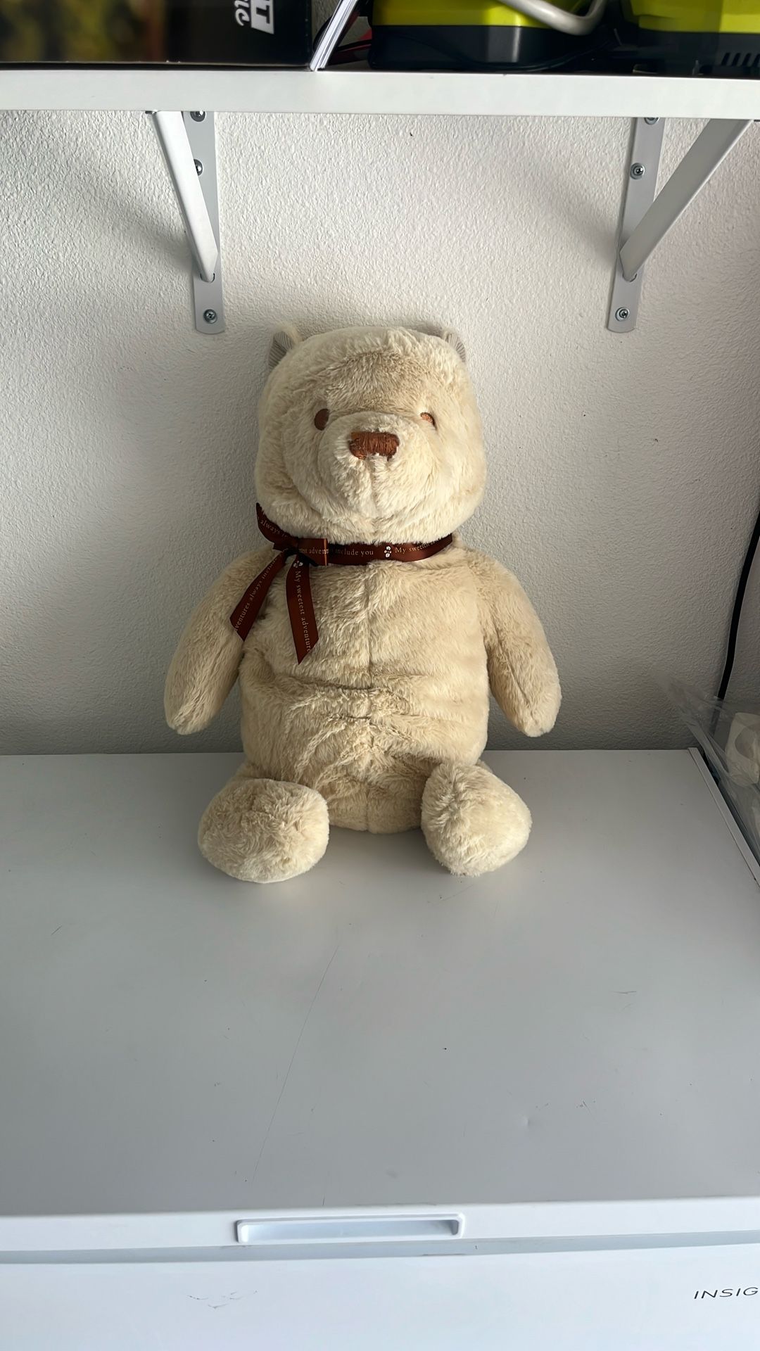 Teddy Bear ~1 Foot 8 Inches (2)