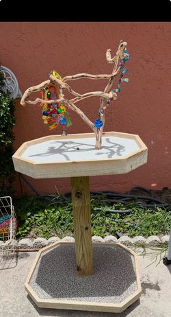 Parrot bird stand / perch