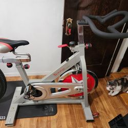 Sunny ,Disk Exercise Bike 150 OBO